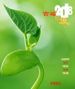 (Ԫ´)2018˳